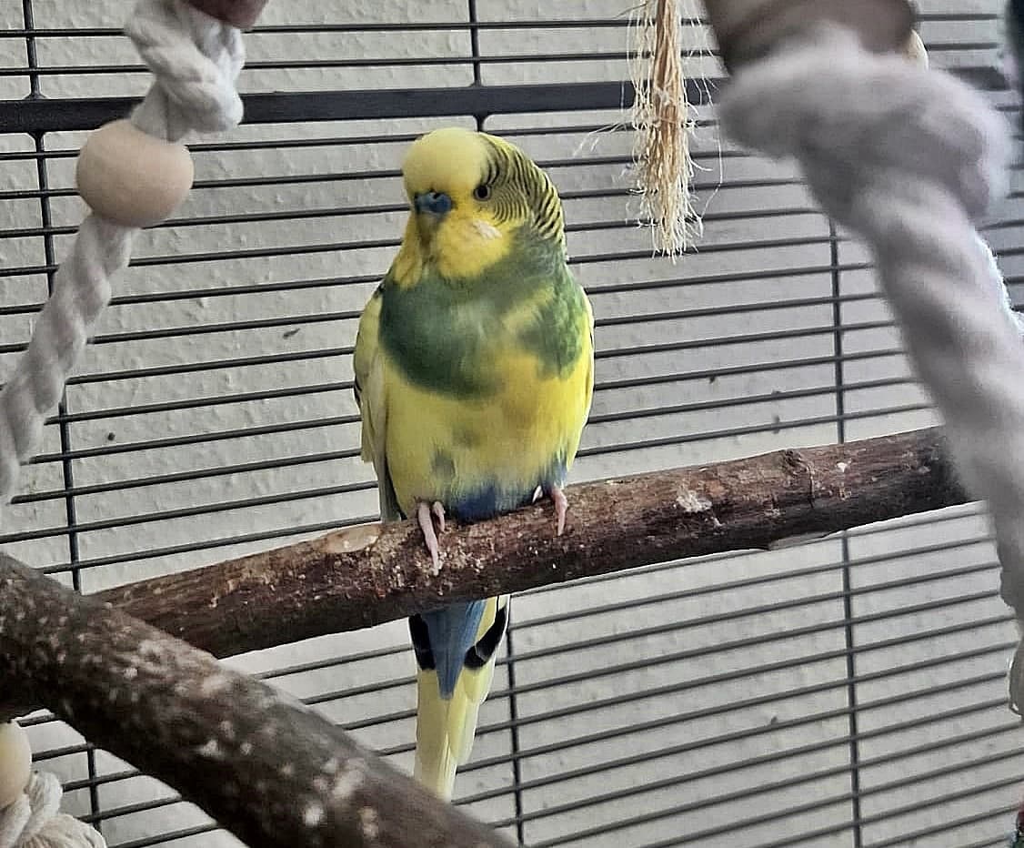 Foto von Welli Albin ist einsam