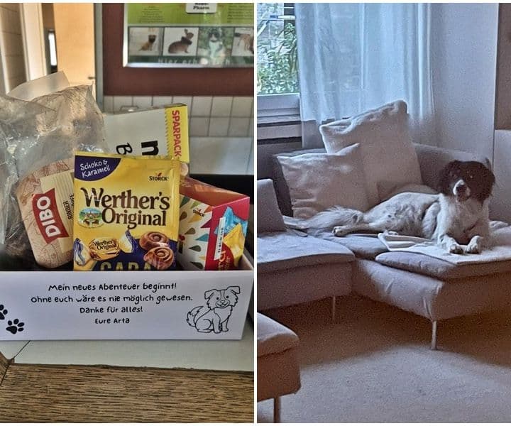 Heute gab es eine tolle Überraschung für uns :-)