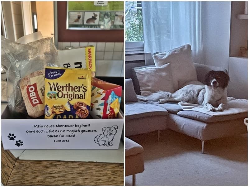 Heute gab es eine tolle Überraschung für uns :-)