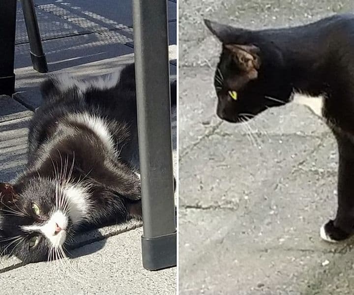 Barney und Skjall schicken Grüße