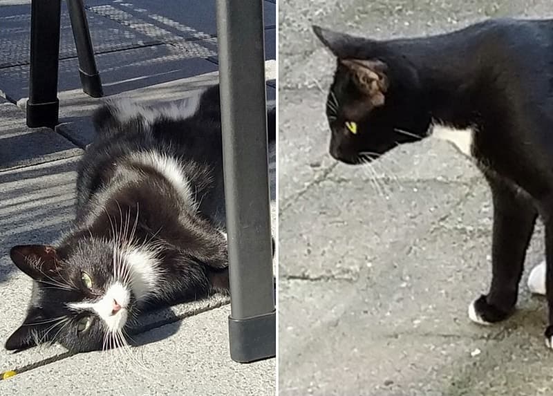Barney und Skjall schicken Grüße