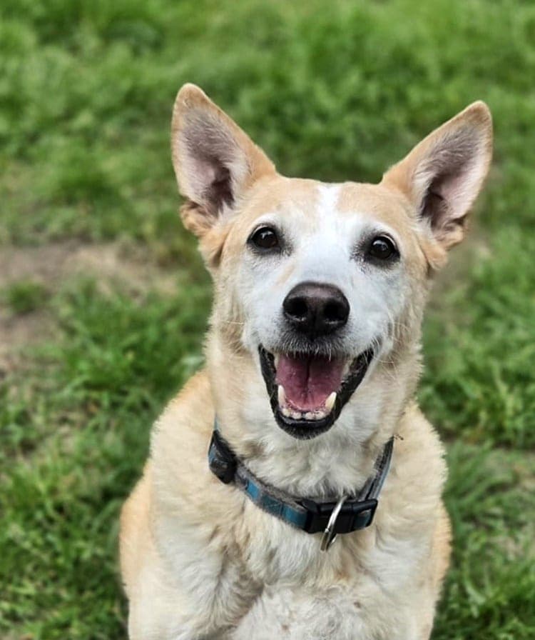 Foto von Fröhliche Bella (mit Video)
