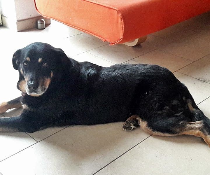 Bernie grüßt aus ihrem Zuhause