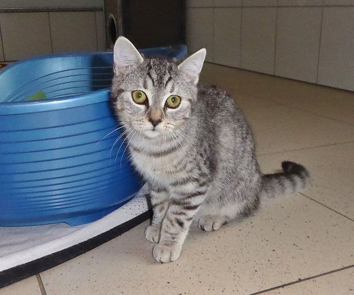 Foto von Bibi und Tina