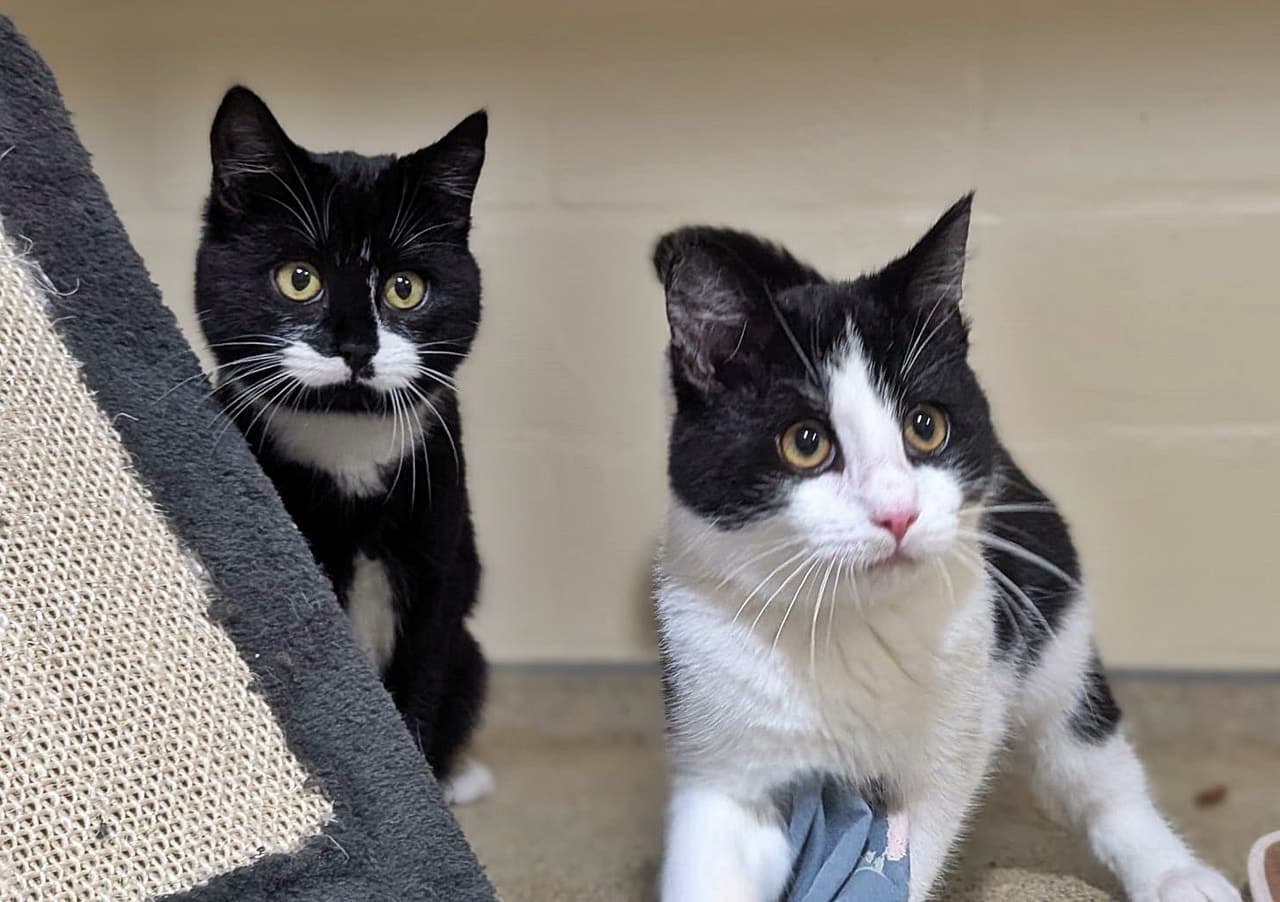 Foto von Butter und Frederik sind ein Team