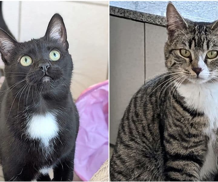 Foto von Cassy und Gracy, zwei die sich mögen