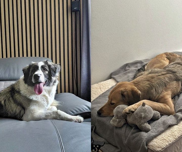 Cleo und Mia sind angekommen