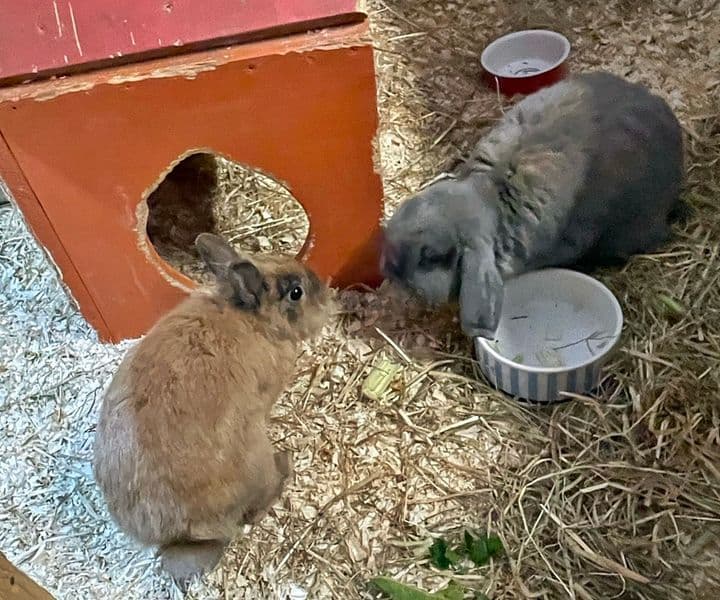 Foto von Dustin und Ink möchten zusammen bleiben