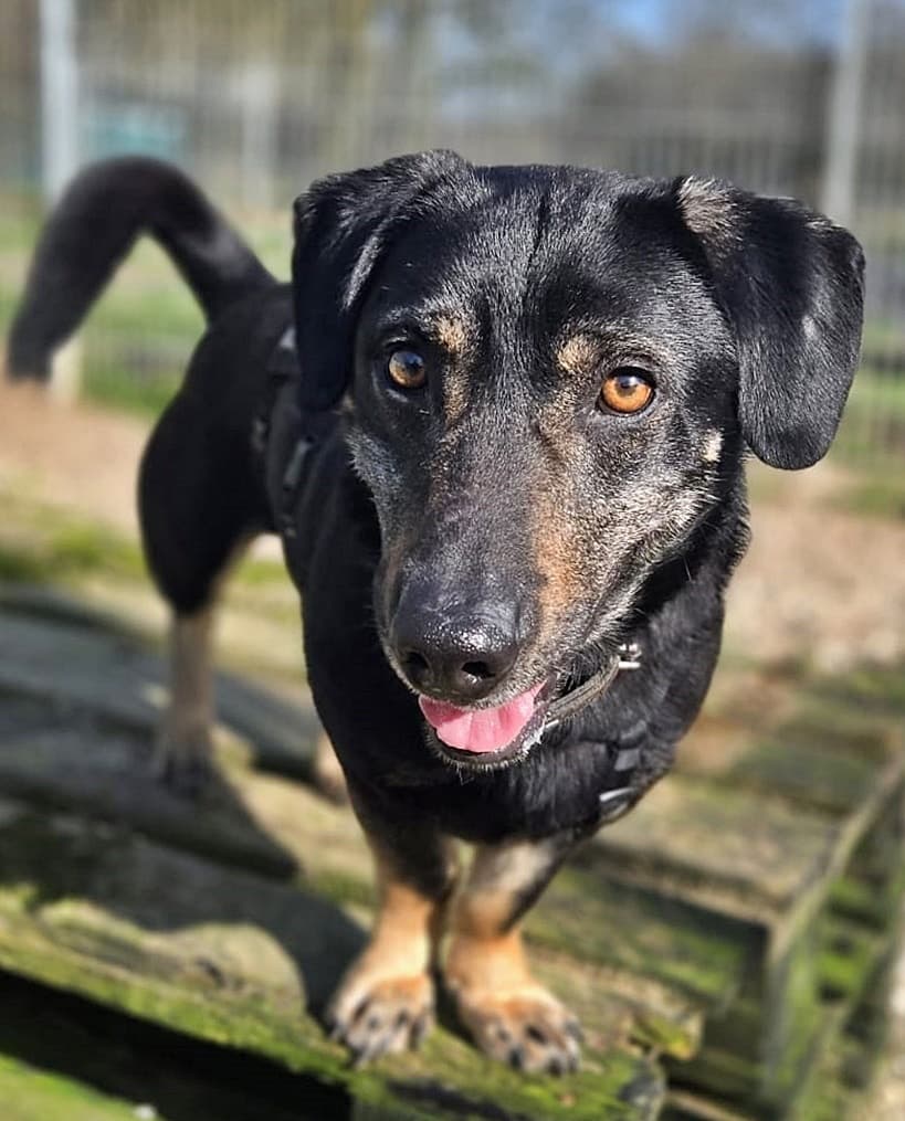 Foto von fröhlicher Eddie ist noch schüchtern (mit Video)