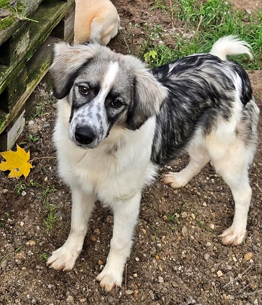 Foto von Enya - lieb und aufgeweckt