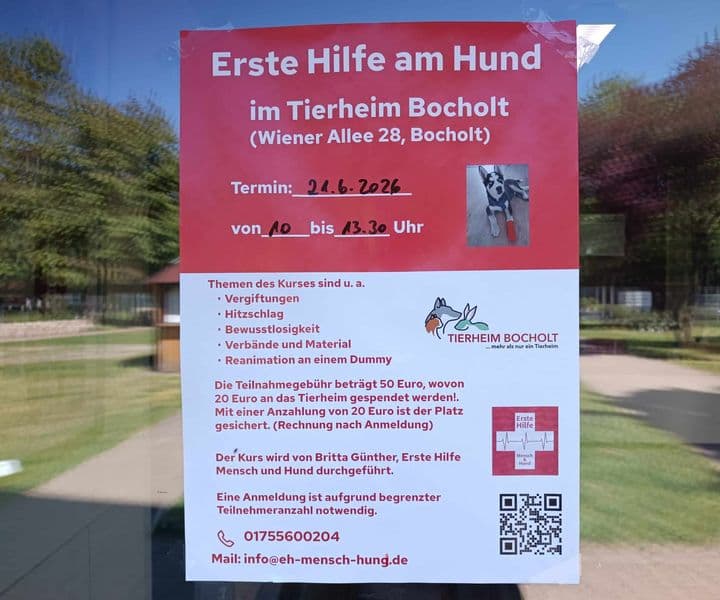 21. Juni: Erste-Hilfe-Kurs für Hunde