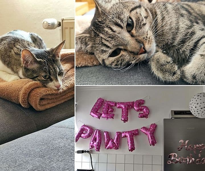Falena und Fabia feiern Geburtstag