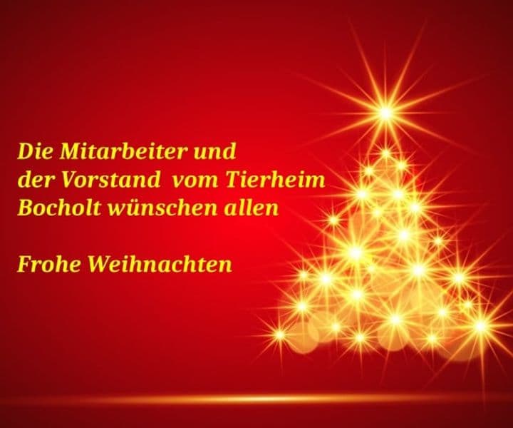 Frohe Weihnachten / geänderte Öffnungszeiten (auch zu Silvester/Neujahr)