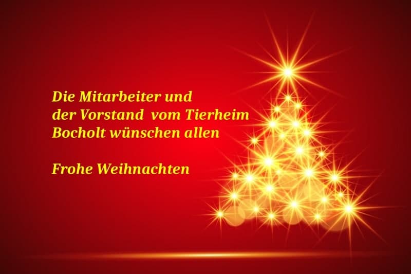 Frohe Weihnachten / geänderte Öffnungszeiten (auch zu Silvester/Neujahr)