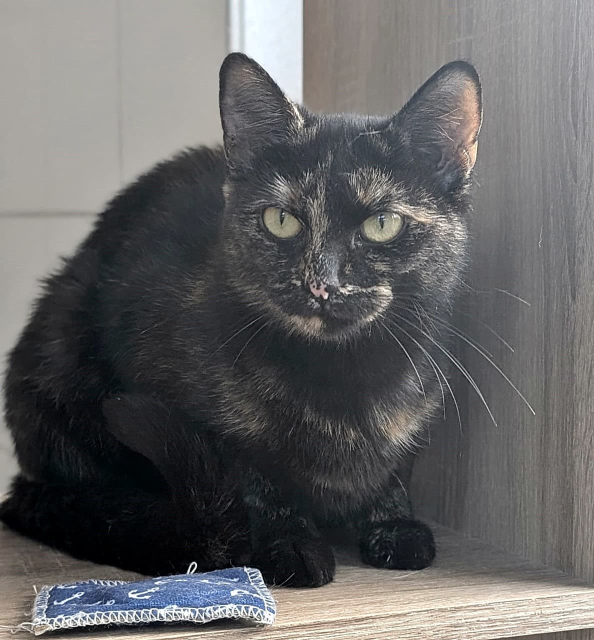 Foto von Heidi, unsere selbstbewusste Schönheit