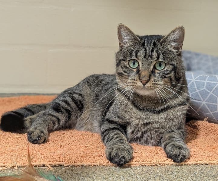 Foto von Henrik, unser Superschmuser