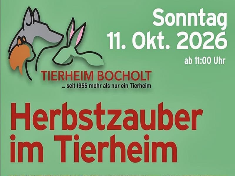 🍂 Herbstzauber im Tierheim Bocholt! 🍂