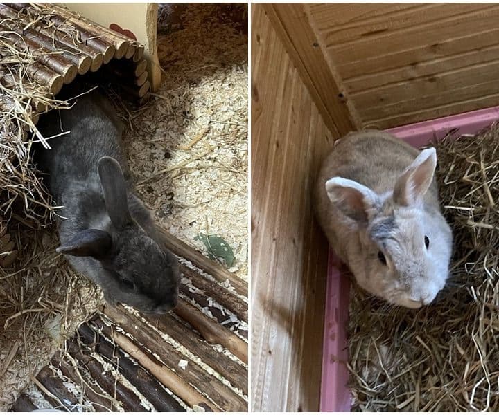 Foto von Kalea und Nadira möchten zusammen bleiben