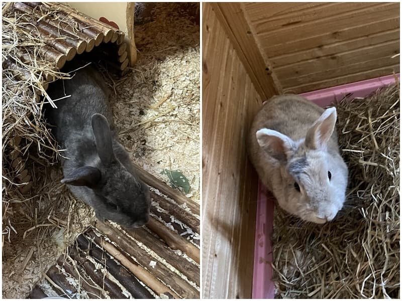 Foto von Kalea und Nadira möchten zusammen bleiben