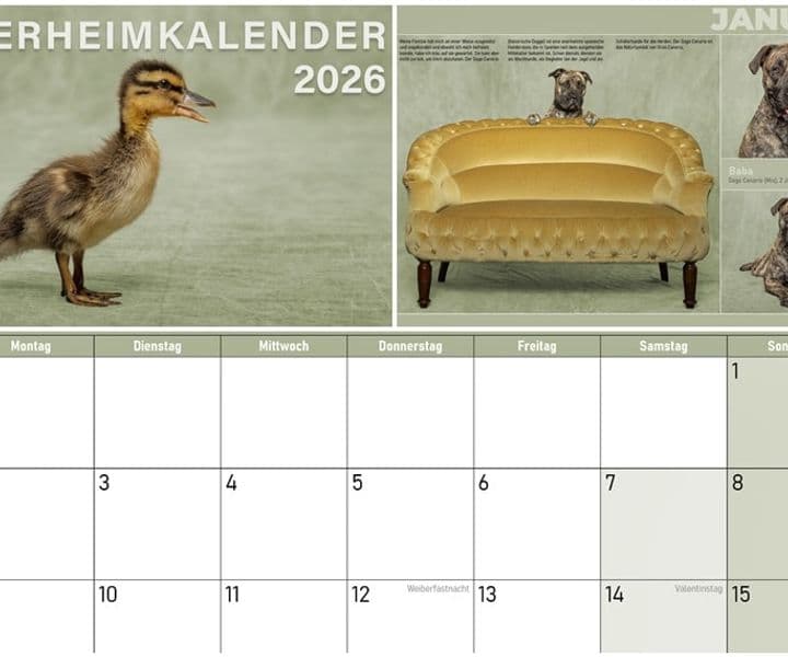 Wer hat ein Herz für einen armen schönen Vogel?