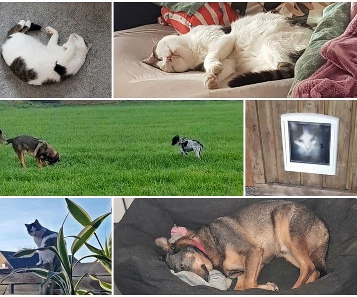 Kassio und Luvinho grüßen aus ihrem Zuhause