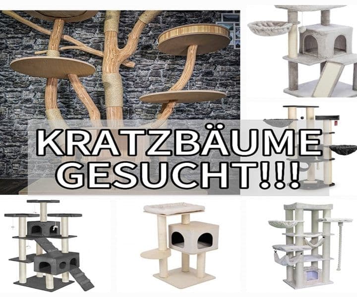 Kratzbäume gesucht! / Tierheim Bocholt Wunschzettel wurde aktualisiert