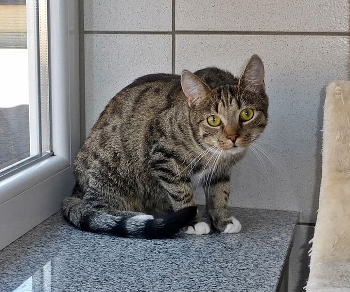Foto von Der liebe Luka ist schüchtern