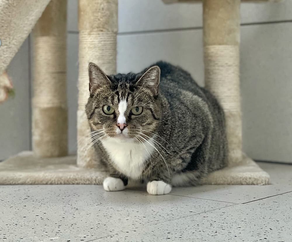 Foto von Mathilda