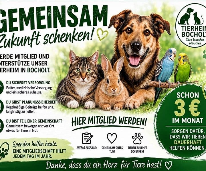Wir brauchen Sie!