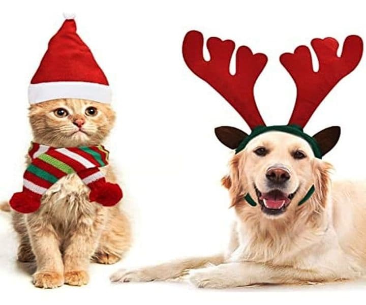 Adventsbasar am 18. Dezember - wir laden ein :-)