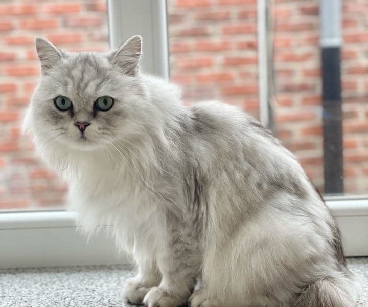 Foto von Oliver