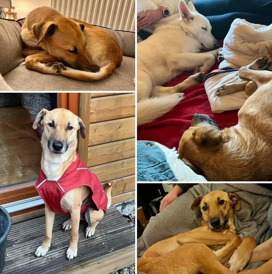 Oskar, unser ehemaliger Schützling, lässt grüßen