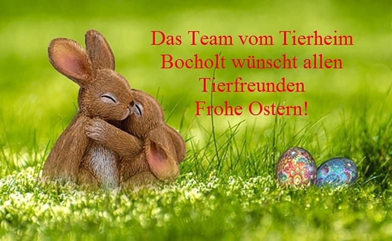 Frohe Ostern!