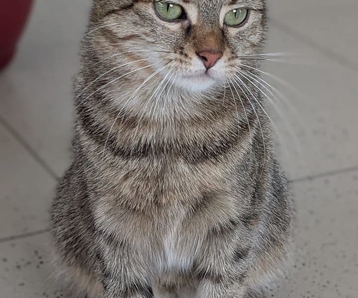 Foto von Penelope wurde ausgesetzt