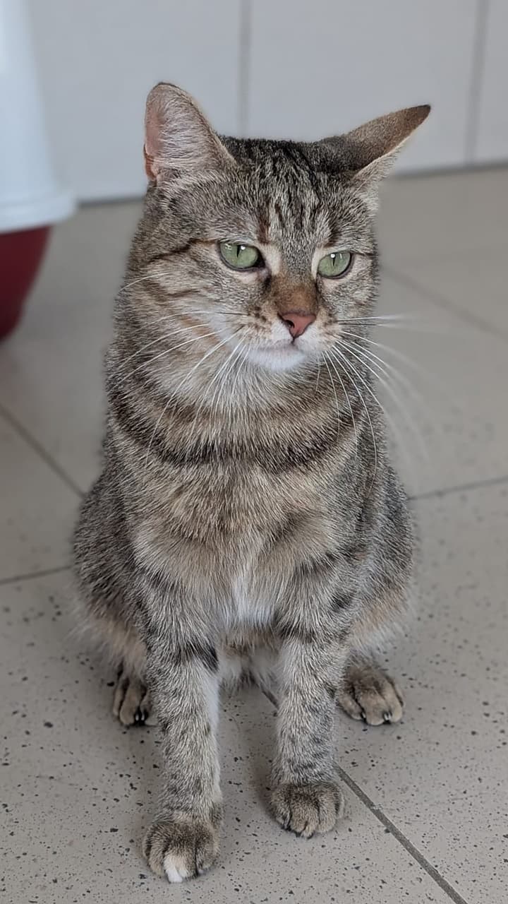 Foto von Penelope wurde ausgesetzt