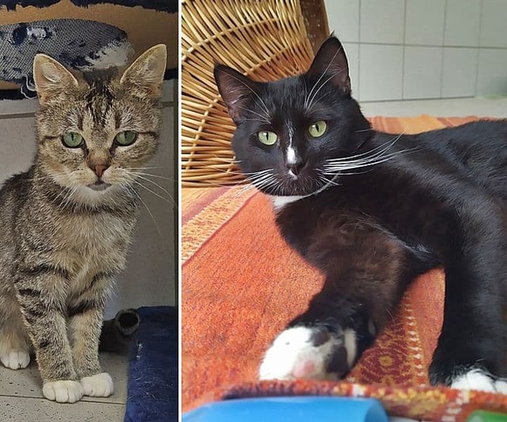 Viel Glück, Sanne und Kilian!