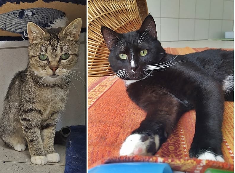 Viel Glück, Sanne und Kilian!