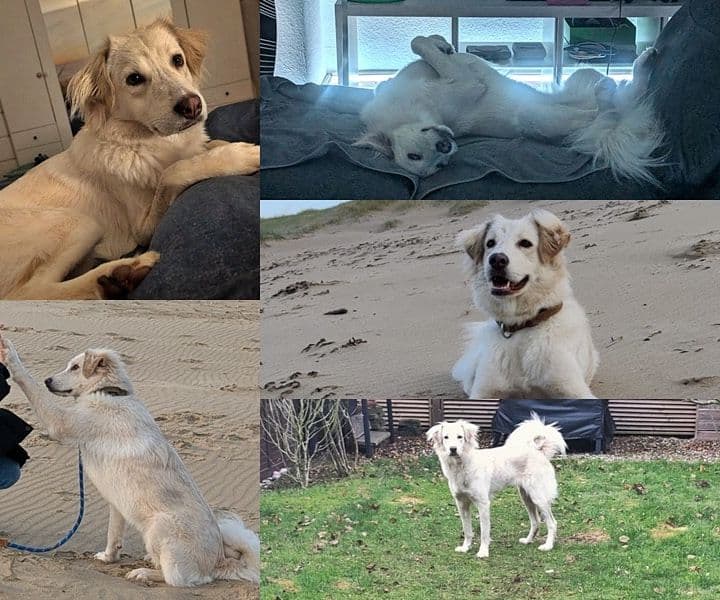 Sunny ist der Mittelpunkt ihrer Familie :-)