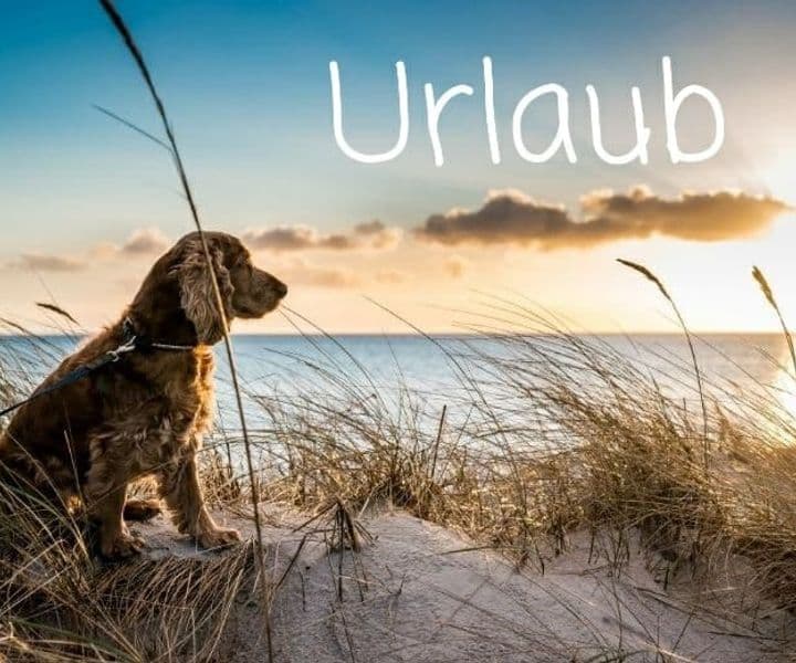 Unser Cafe geht in den Sommerurlaub