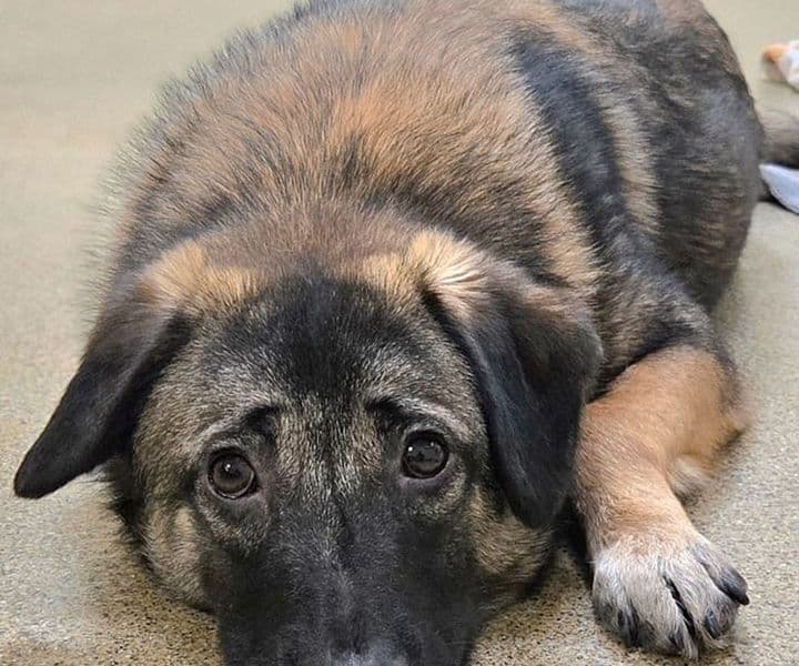 Foto von der junge Toby taut immer mehr auf (mit Video)