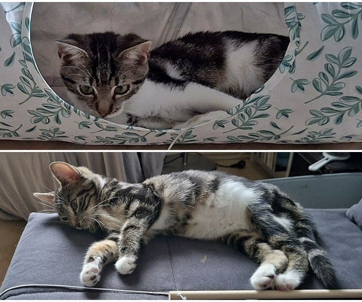 Toffi und Tilda haben sich eingelebt