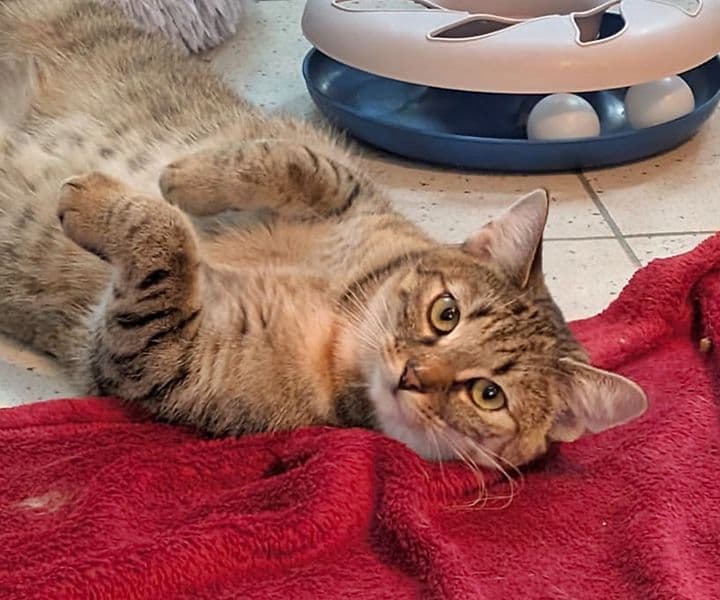 Foto von Umberta ist noch etwas vorsichtig (mit Video)