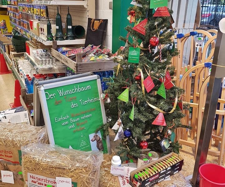 Der Wunschbaum macht Wünsche wahr