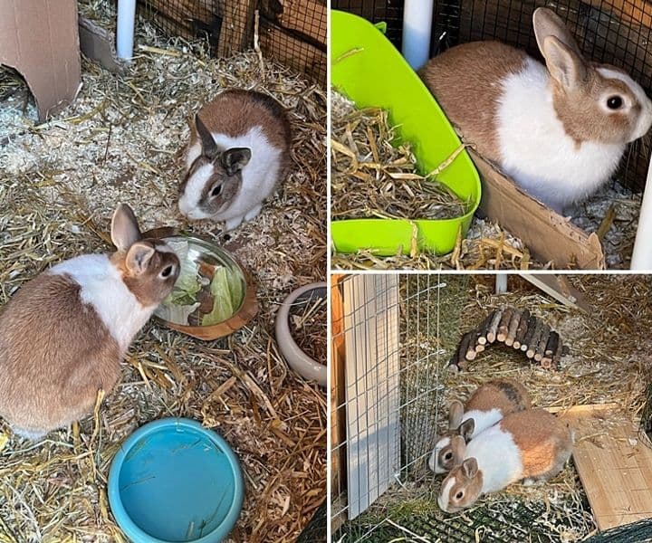 Chef und Brummbär sind angekommem