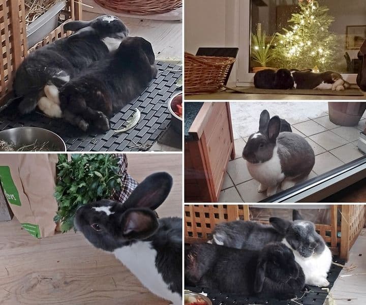 Marco ist verliebt in Bella