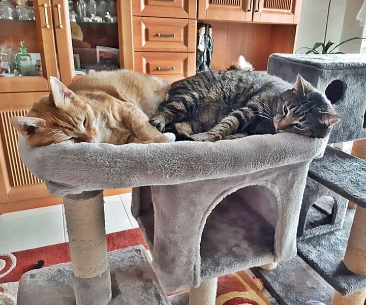 Ramon und Tyler leben im Paradies