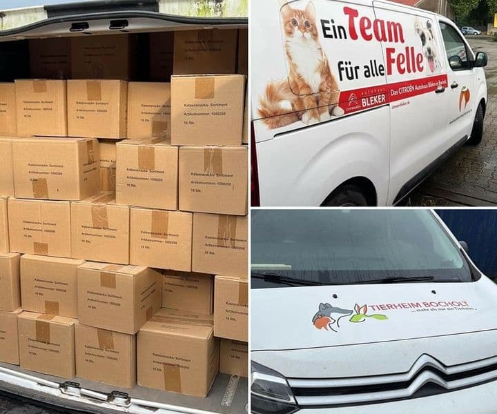 Ein Wagen voller Katzensnacks