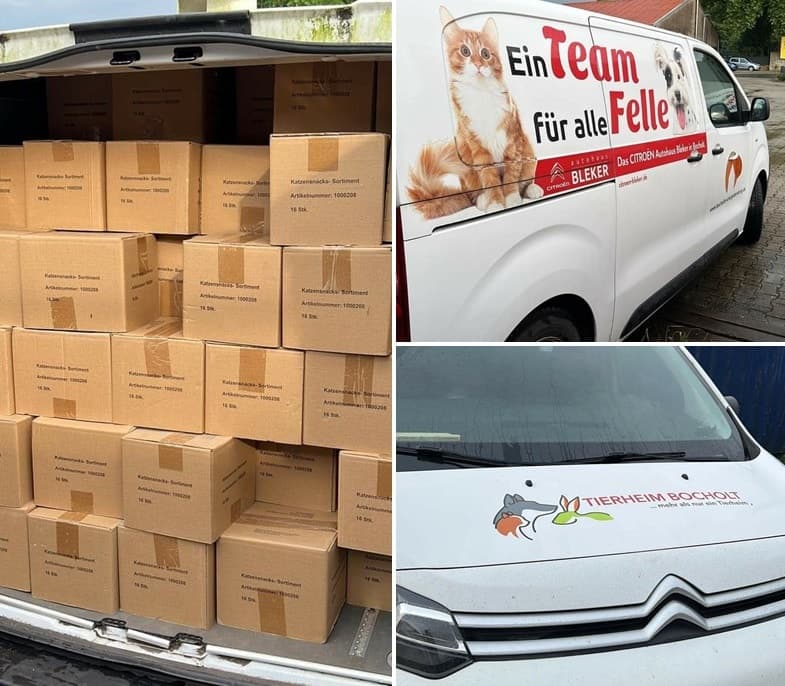 Ein Wagen voller Katzensnacks