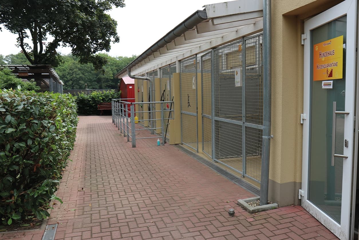Hundehaus, Bild 1