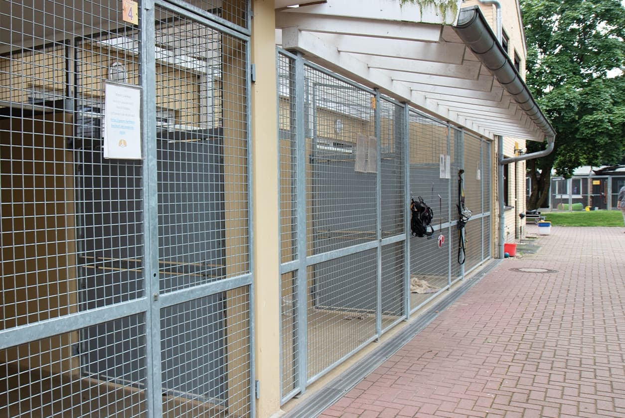 Hundehaus, Bild 5